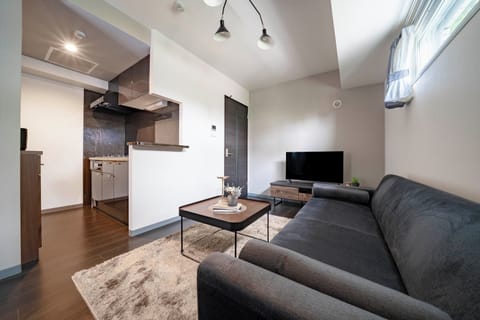 Flat-screen TV