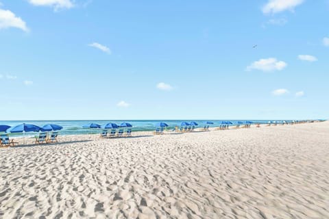 Chair rentals are available to make sure you secure the perfect spot!