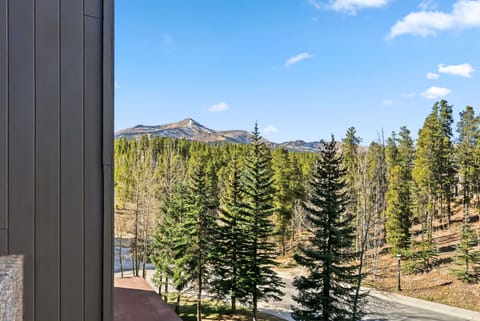 View From Balcony
