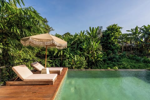 Outdoor pool, sun loungers