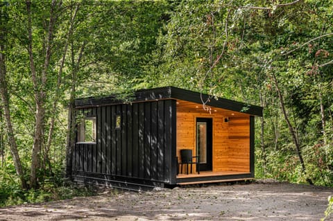 Welcome to Timber Lodge, your cozy home In the trees