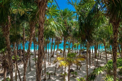 Luxury Villa | Beach | Private beach, white sand, sun loungers, beach towels