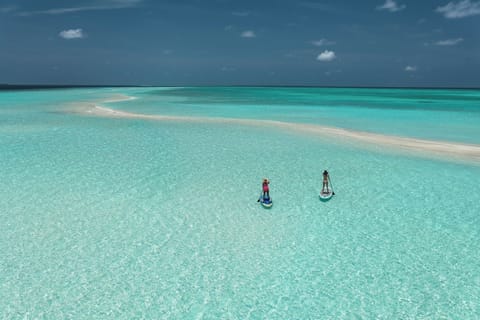 Surfing/boogie boarding