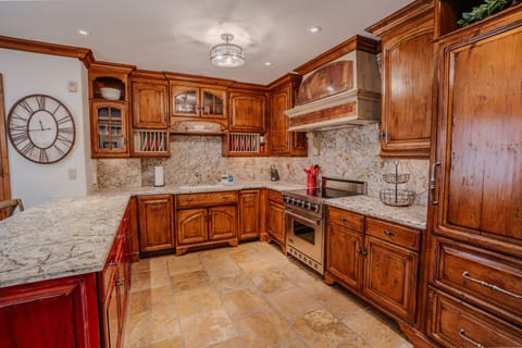 A large, modern fully equipped kitchen featuring stainless steel appliances, sleek European-style finishes, and convenient bar seating for casual dining.