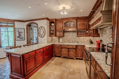 A large, modern fully equipped kitchen featuring stainless steel appliances, sleek European-style finishes, and convenient bar seating for casual dining.