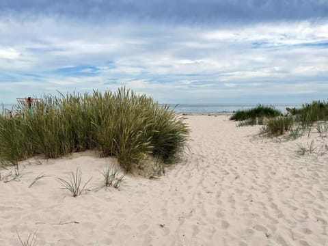 House | Beach