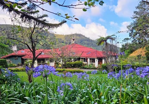 The Bungalow