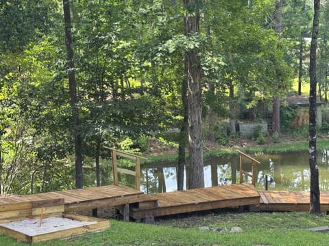 Boardwalk to the lake