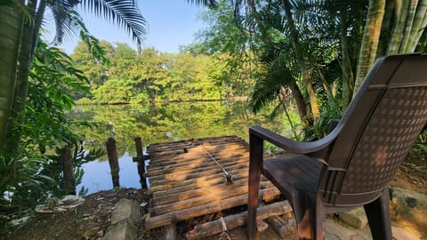 Superior Double Room, Garden View | Garden view
