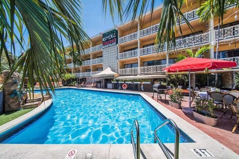 Dive into sparkling sunshine at our palm-framed outdoor pool.