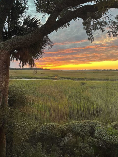 Long range sunset marsh views