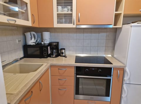 Apartment (Two-Bedroom Apartment With Sea View) | Private kitchen | Fridge