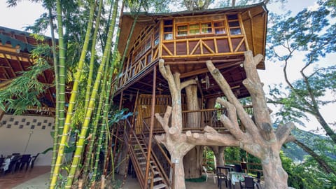 Tree House | Free WiFi