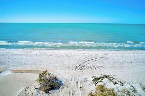 You couldn’t ask for a better spot — step outside and the soft white sands of Indian Rocks Beach are literally at your doorstep.