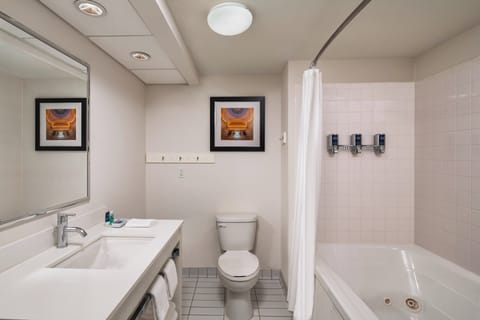 Combined shower/tub, free toiletries, hair dryer, towels