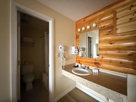 Combined shower/tub, free toiletries, hair dryer, towels