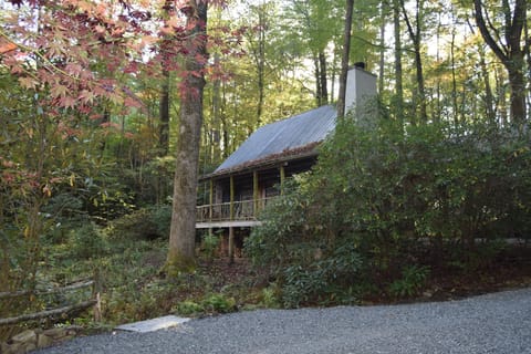 Front of the Cabin