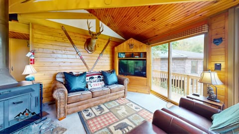 Living Room with Sleeper Sofa