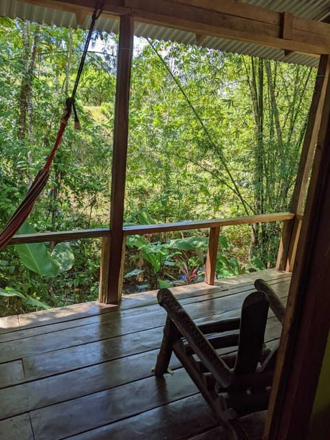 Owl | Living area