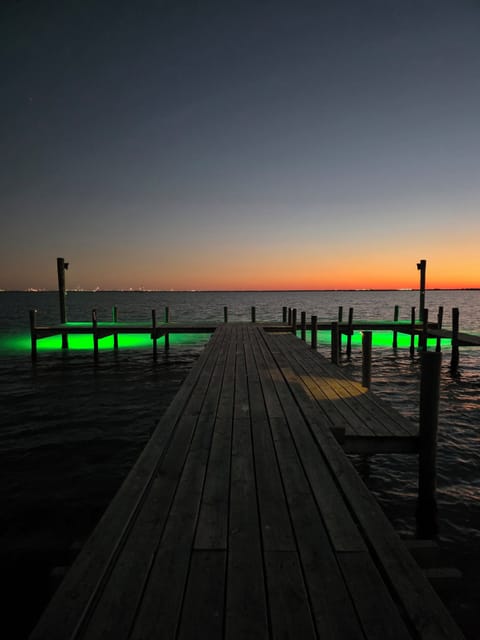 3 green fishing lights along the pier draw them in for unforgettable night  fun!