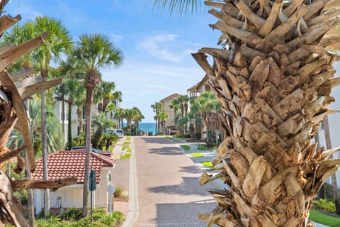 Palm-lined resort street leads to sparkling ocean views, creating a tropical paradise setting.
