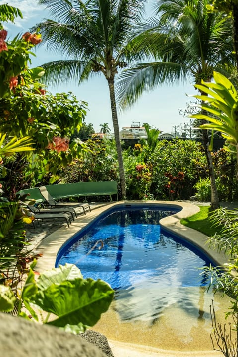 Experience Pura Vida!