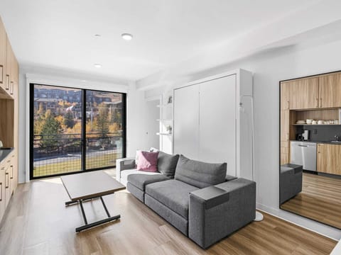Studio living area