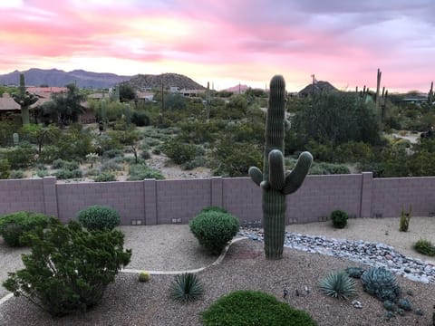Sunrise View From Upper Deck