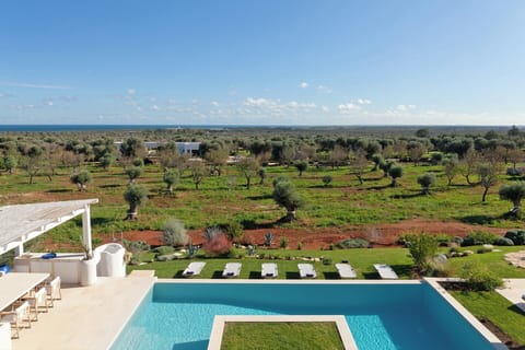 Fabulous views out across the olive groves to the Adriatic from Casa Guaceto's roof terrace.