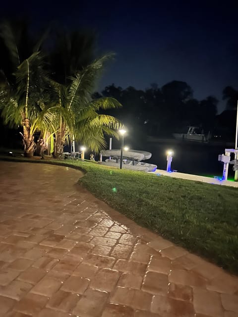 Night Life