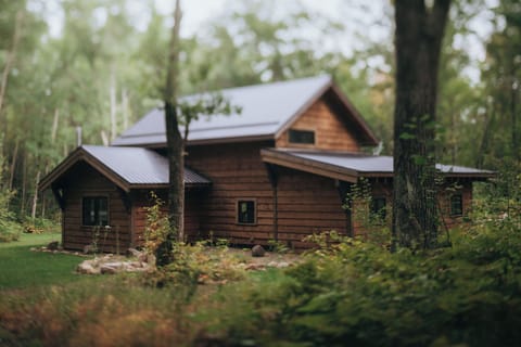 A warm Northwoods cabin surrounded by trees and privacy.