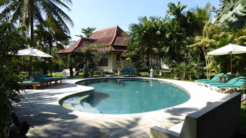 Outdoor pool, sun loungers