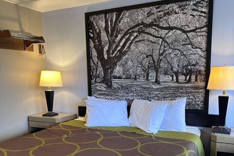 Room, 1 King Bed, Non Smoking | Individually furnished, desk, laptop workspace, blackout drapes