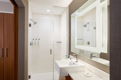 Shower, free toiletries, hair dryer, towels