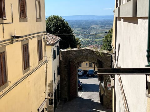 Scenic View
