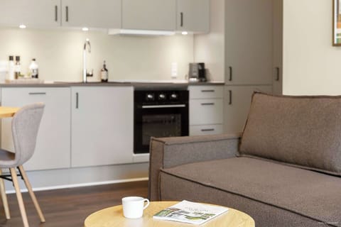 Living area with a very comfortable sleeping sofa, that sleeps 2 people.