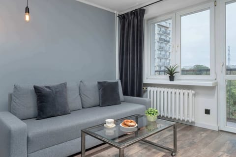 Living room with a comfortable sofa and TV. 