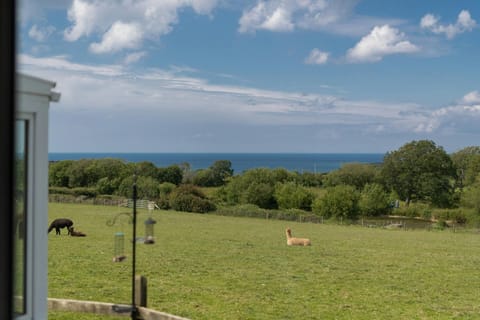 Views from the garden over fields and sea
