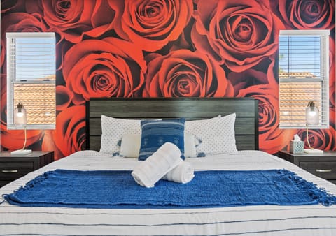 Romantic vibe Master bedroom