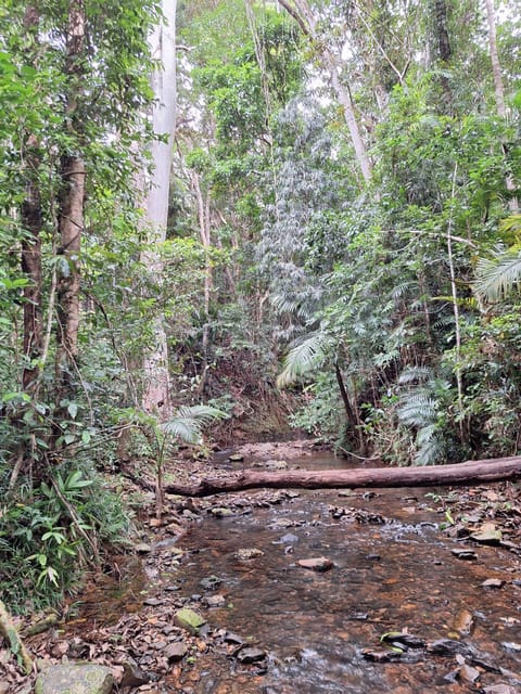 Creek on property