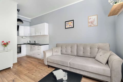 Living room with a comfortable sofa and TV. 