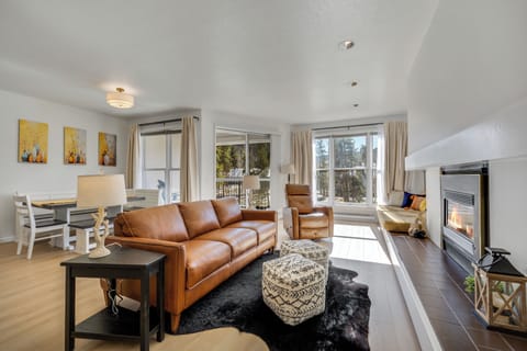 Living Room with sleeper couch, fireplace, and TV