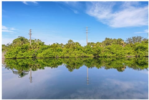 Beautiful quiet view!  Water view from condo and master bedroom! Bird watching!