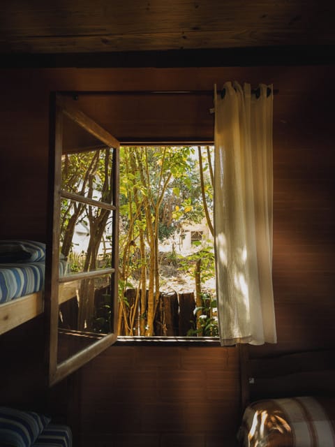 Classic Shared Dormitory | Free WiFi