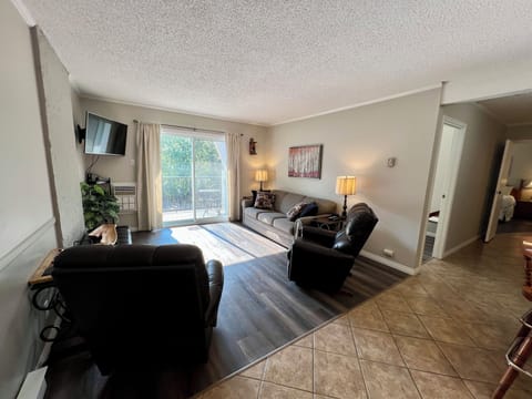 Cozy open planning. Pull Out sofa bed and two rocking leather chairs.