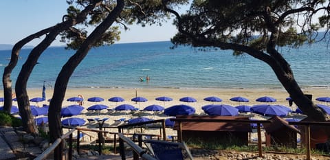 Private beach nearby, white sand, sun loungers, beach umbrellas