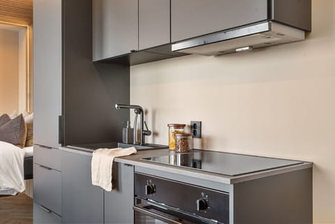 Reindeer Apartment | Private kitchen