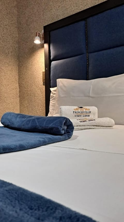 Executive Room | Iron/ironing board, free WiFi