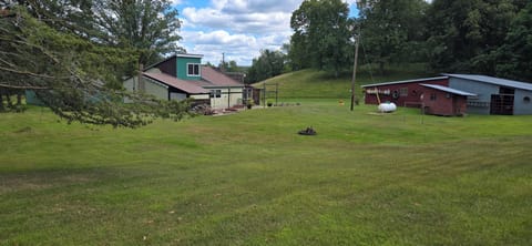 Back Yard with Fire Pit