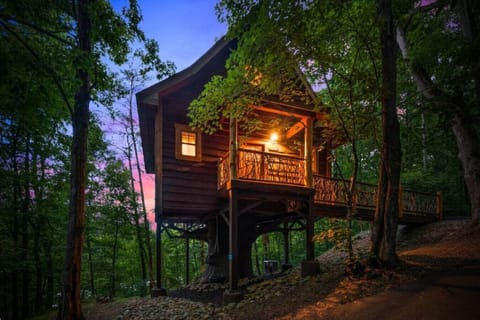 As evening settles in, the cabin glows with warmth under the forest canopy, offering a cozy and magical retreat in the woods.